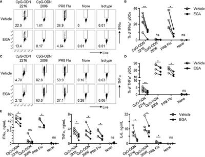 Disruption of endosomal trafficking with EGA alters TLR9 cytokine response in human plasmacytoid dendritic cells